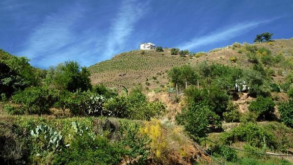 Camino de la Fuente (La Viñuela)
