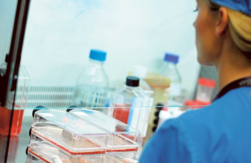 Vircell conquista China con un test para detectar enfermedades infecciosas