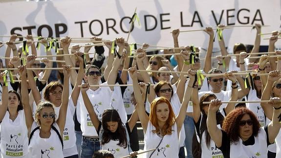 Málaga acoge este domingo una manifestación para exigir la abolición del Toro de la Vega