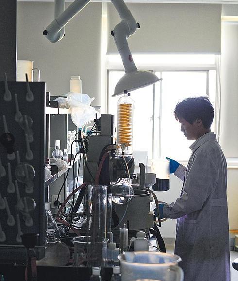 El nuevo gran salto de China