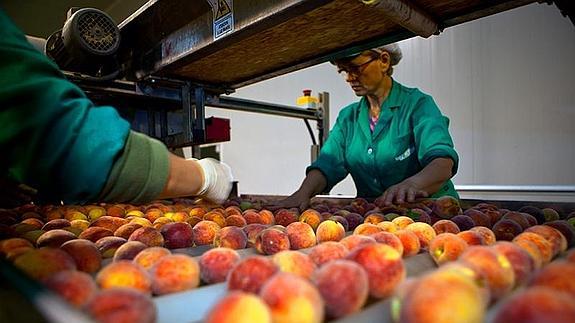 Sol de Badajoz levanta una nueva fábrica para concentrado de fruta