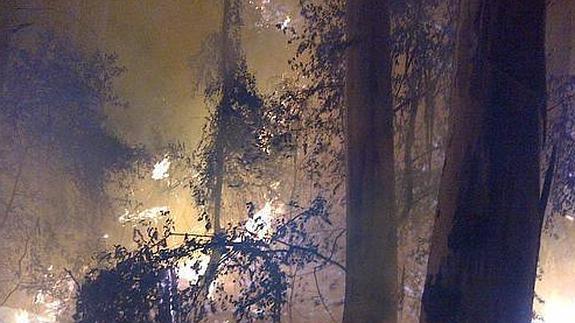Estabilizan un incendio forestal declarado en un paraje de Guaro
