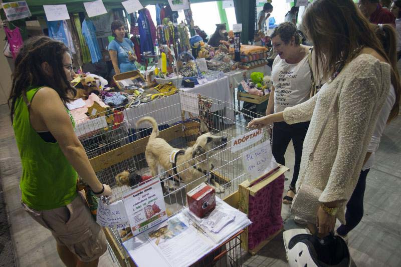 El Salon Del Animal De Compania Reune A Mas De 4 000 Mascotas En Malaga Diario Sur