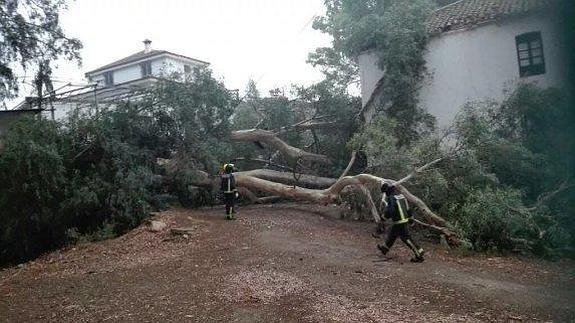 Registradas alrededor de una quincena de incidencias por la lluvia y el viento en la provincia