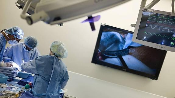 El Hospital Carlos Haya realiza seis trasplantes en menos de 24 horas