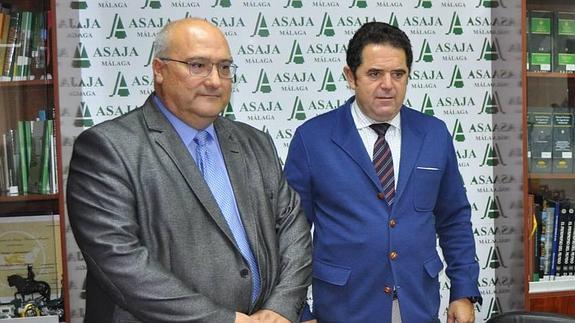 Los altos precios del aceite y el tropical llevan al 'agro' a rozar un nuevo récord a pesar de la sequía