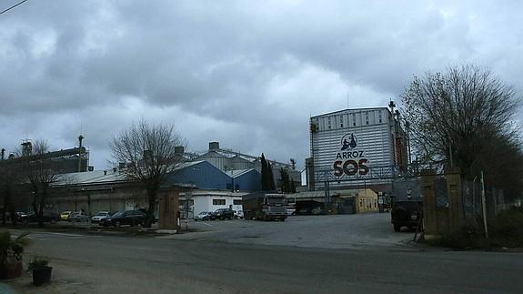 Herba innova con quinoa para competir en súper alimentos