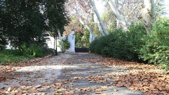 Indignación en el sector turístico y empresarial malagueño ante el cierre de La Cónsula