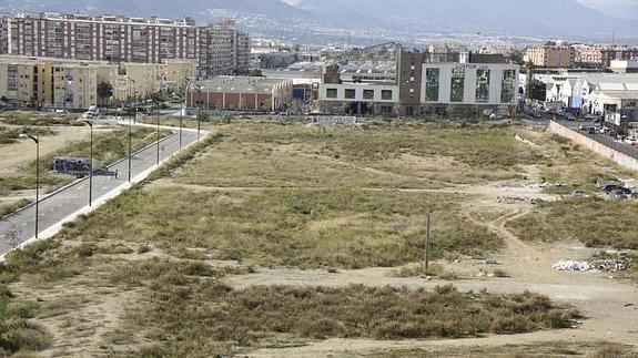 ¿Cómo debe realizarse una consulta popular en Málaga conforme a la normativa?