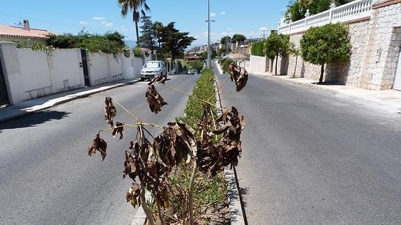 Detienen a un menor de 16 años acusado de robar en tres chalés de Miraflores del Palo en una noche