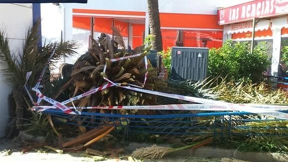 Fuertes rachas de viento causan múltiples incidencias en Málaga