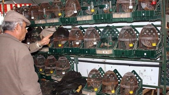 El sector de la caza toma a Alameda como su capital