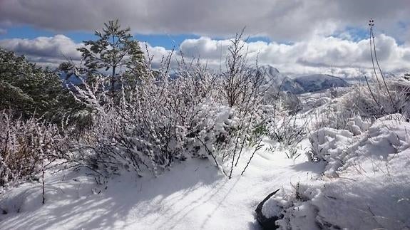 La belleza de la nieve en La Maroma