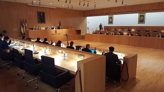 PP y PSOE de Málaga se alían para reivindicar el papel de las diputaciones