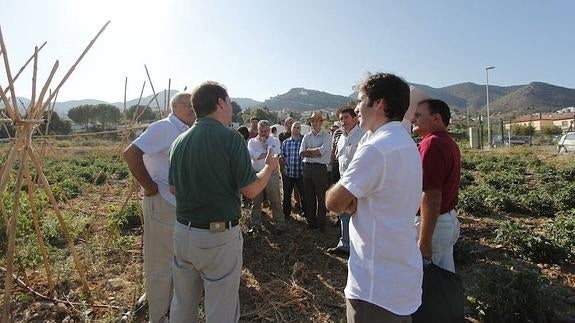 Málaga participa en un proyecto pionero de reutilización de agua en cultivos tropicales