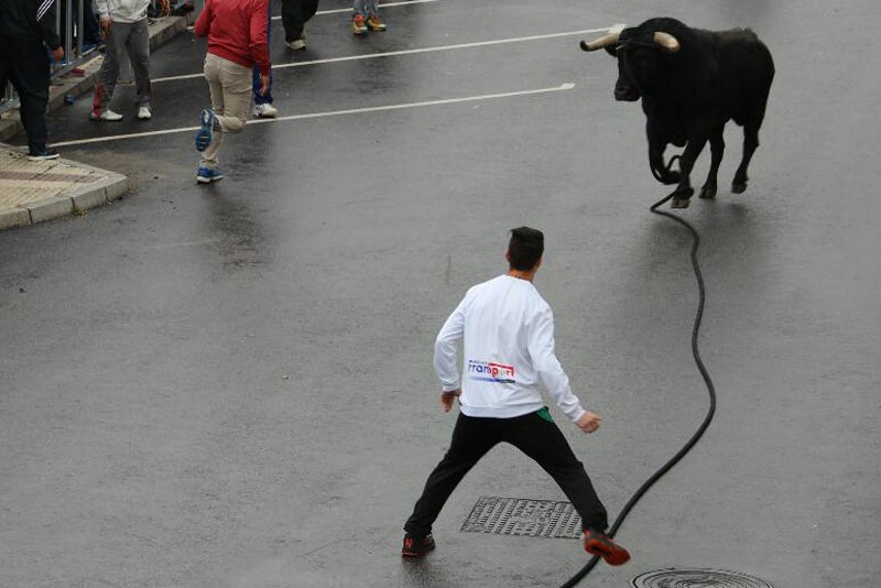 Gaucín celebra su Toro de cuerda