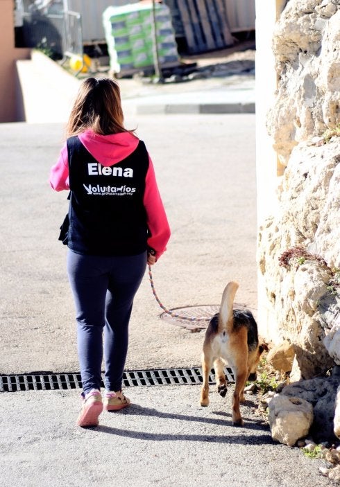 Voluntariado con recompensa