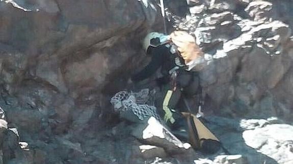 Bomberos descienden un barranco de 50 metros para rescatar a un perro en Casarabonela