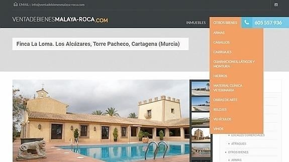 El Seprona estudia la legalidad de los animales disecados intervenidos a Roca