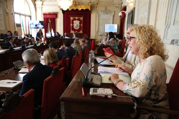 El pleno se compromete a decidir el modelo de Limasa antes del 15 de julio