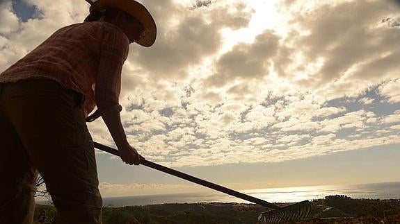 ¿Quieres convertirte en un granjero del siglo XXI? En Marbella tienen la fórmula