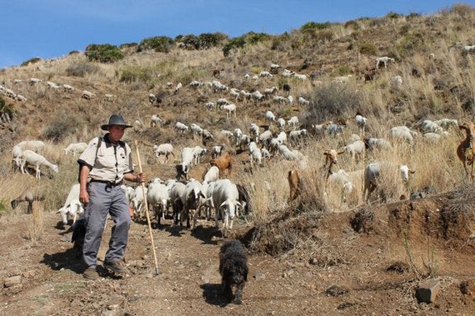 COAG pide que la Guardia Civil controle las carreras ilegales en caminos y vías pecuarias