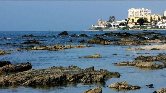 Hasta 22 playas de Málaga y la Costa del Sol lucirán 'bandera azul' en 2016