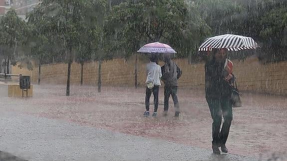 La lluvia deja más de 100 litros por metro cuadrado durante la alerta entre Coín y Álora