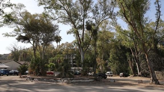 Un nuevo informe de Urbanismo advierte de deficiencias en los Baños del Carmen