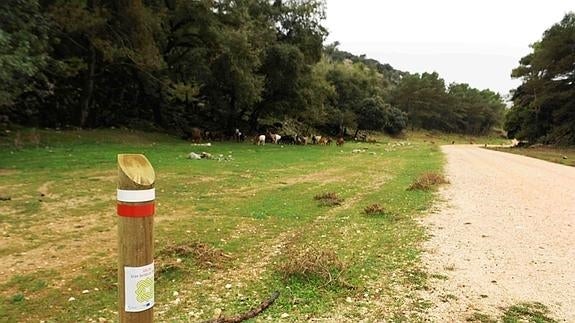 Monda, Coín y Alhaurín el Grande se incorporan al trazado de la Gran Senda