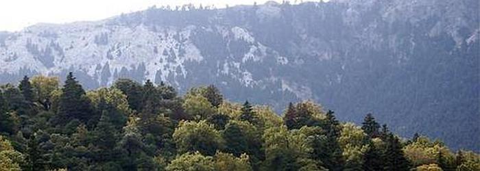 El Gobierno impulsa la inclusión de la Sierra de las Nieves en la red de Parques Nacionales