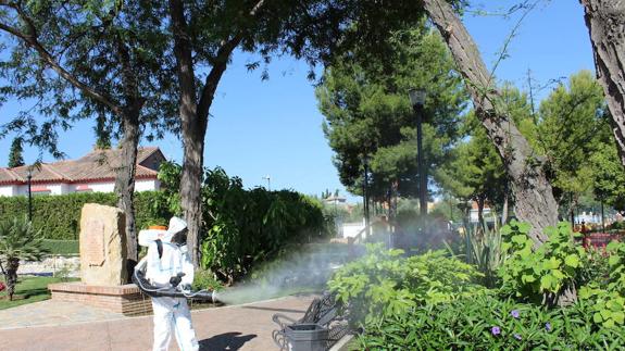 La huella del mosquito tigre se extiende por todo el litoral de la provincia