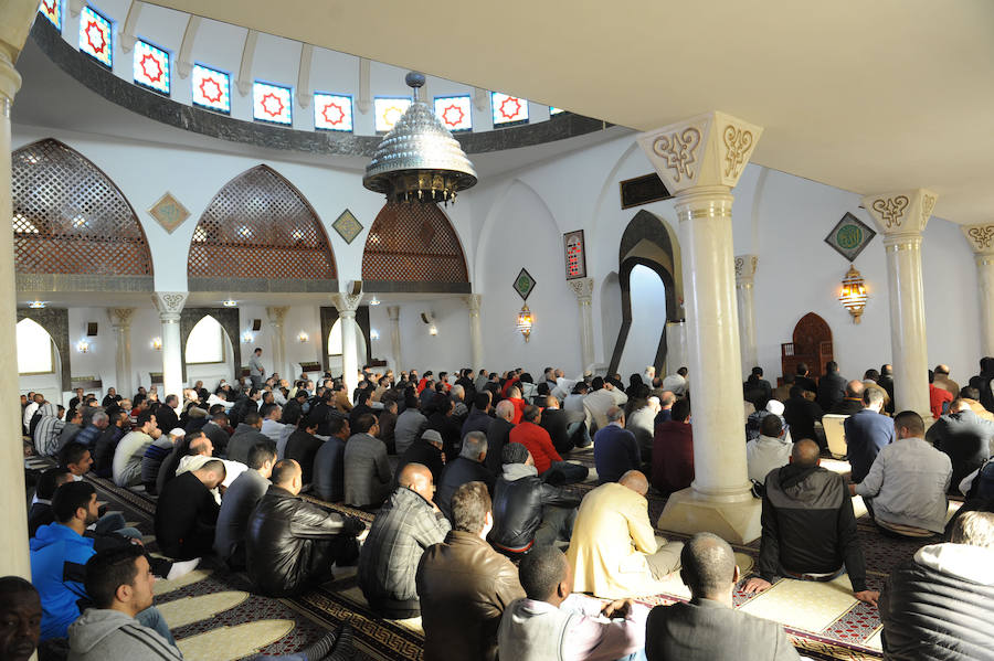 «La falta de integración y cultura es una cantera de gente violenta»