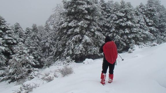 La Junta fija en 2017 la declaración de la Sierra de las Nieves como parque nacional