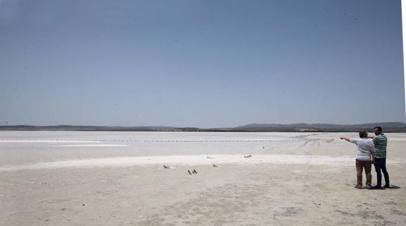 La Laguna de Fuente de Piedra se queda sin crías de flamenco