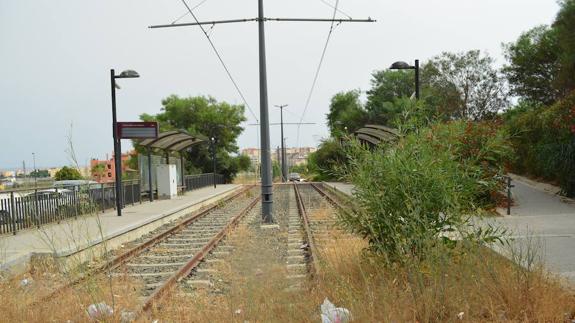 Vélez-Málaga plantea convocar una consulta vecinal para decidir si se reanuda el tranvía