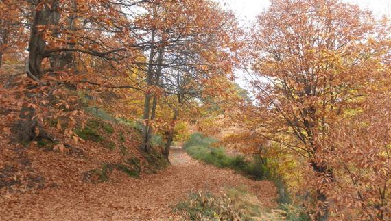 10 paisajes donde perderse este otoño en Málaga