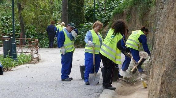 Arranca el plazo para cubrir 768 puestos de peón en Málaga capital