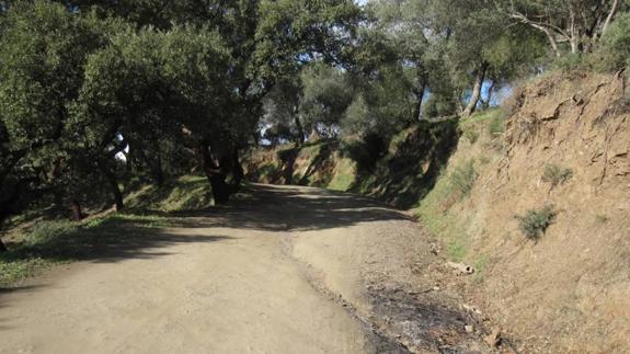 Las carreteras de la red provincial de Málaga salen del olvido con un plan para su mejora