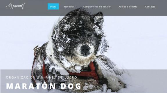 Darth Vader y su legión 501 contra el maltrato animal