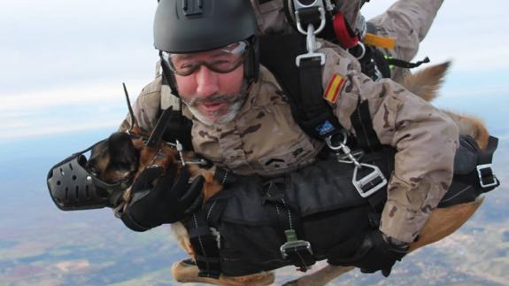 Los perros de la Brigada Paracaidísta