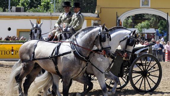 Qué hacer en Málaga este fin de semana