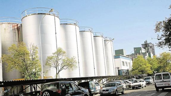 El Gobierno descarta entrar en el capital de Deoleo