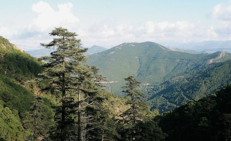 Sierra Bermeja ultima sus posibilidades para convertirse en Parque Nacional