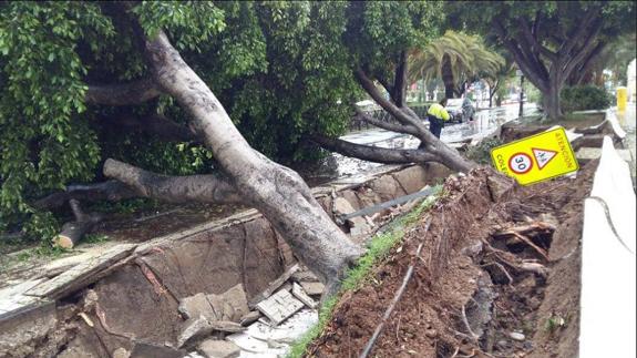 La Diputación de Málaga actúa en una treintena de carreteras de la provincia por el temporal