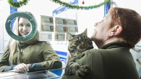 Floki, la gata que traerá suerte esta Navidad