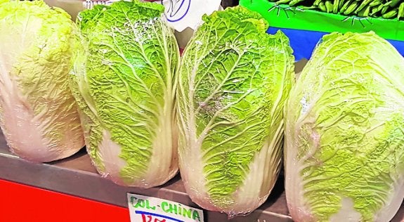 La huerta china se instala también en el campo malagueño