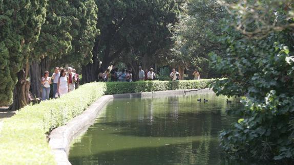 El Ayuntamiento prorroga los Presupuestos y prevé aprobar los de 2017 en enero