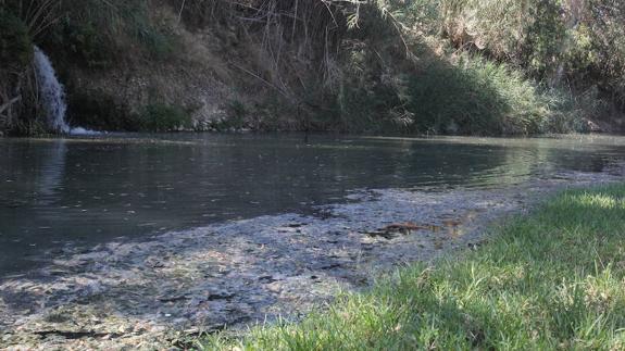 Málaga, a la cola en obras de depuración pese a ser la que más aporta al canon de la Junta
