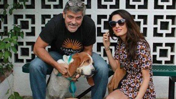 Los Clooney esperan gemelos para la primavera